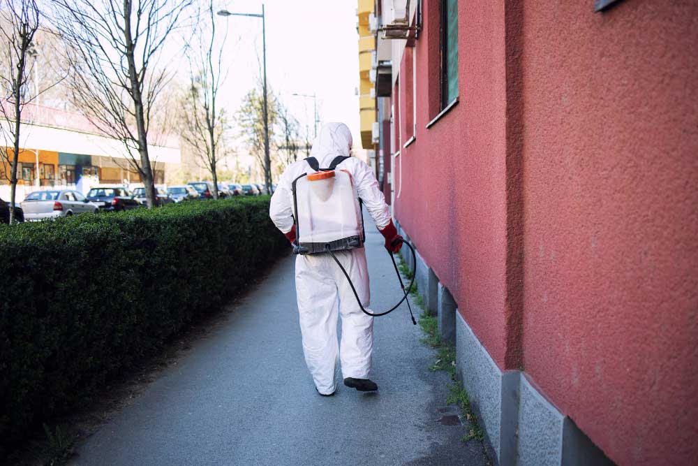 Local Fogging Services in Manchester's staff in chemical protection suit spraying disinfectant along the sidewalk next to a building.